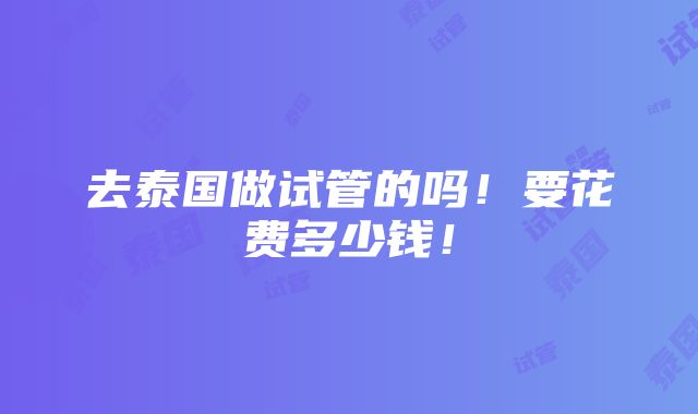 去泰国做试管的吗！要花费多少钱！