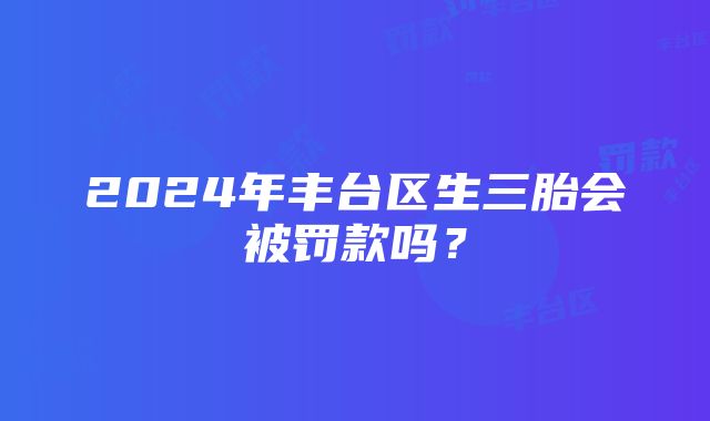 2024年丰台区生三胎会被罚款吗？