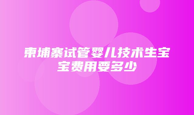 柬埔寨试管婴儿技术生宝宝费用要多少