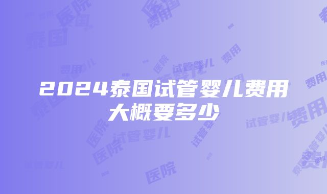 2024泰国试管婴儿费用大概要多少