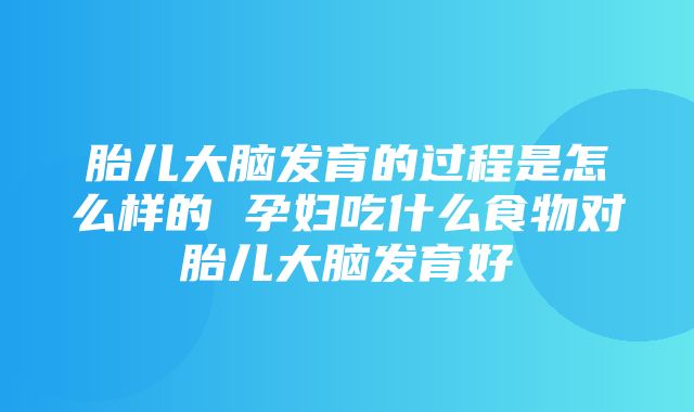 胎儿大脑发育的过程是怎么样的 孕妇吃什么食物对胎儿大脑发育好