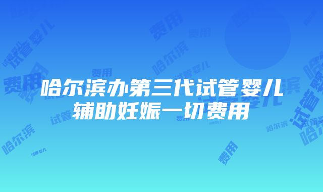 哈尔滨办第三代试管婴儿辅助妊娠一切费用