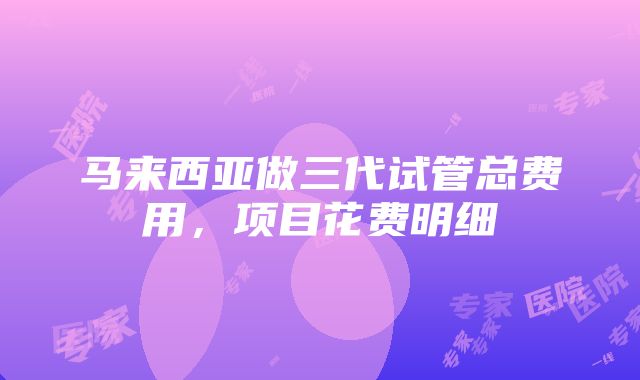 马来西亚做三代试管总费用，项目花费明细