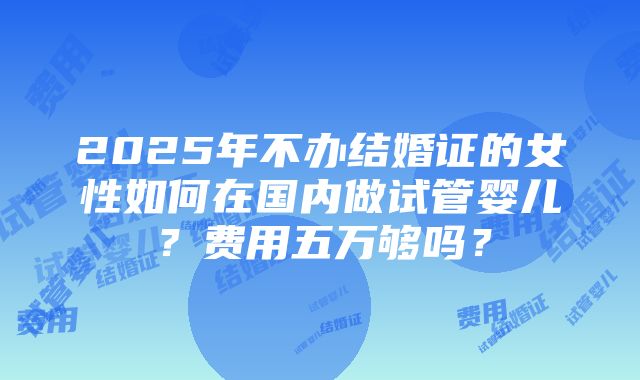 2025年不办结婚证的女性如何在国内做试管婴儿？费用五万够吗？