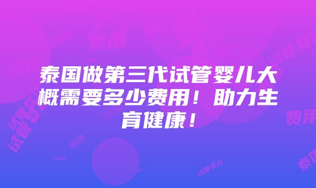 泰国做第三代试管婴儿大概需要多少费用！助力生育健康！