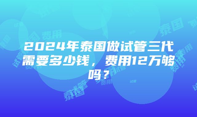 2024年泰国做试管三代需要多少钱，费用12万够吗？