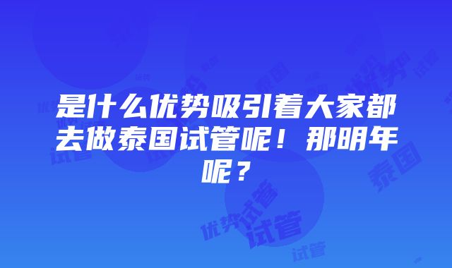 是什么优势吸引着大家都去做泰国试管呢！那明年呢？