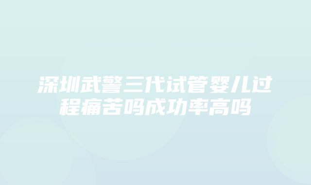 深圳武警三代试管婴儿过程痛苦吗成功率高吗