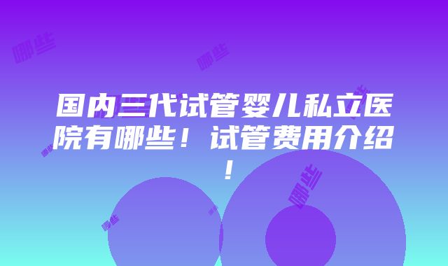 国内三代试管婴儿私立医院有哪些！试管费用介绍！