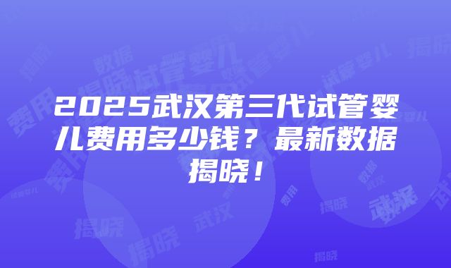 2025武汉第三代试管婴儿费用多少钱？最新数据揭晓！