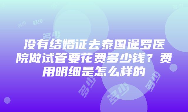 没有结婚证去泰国暹罗医院做试管要花费多少钱？费用明细是怎么样的