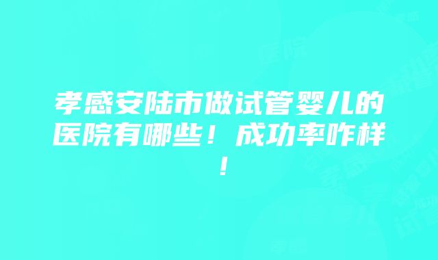 孝感安陆市做试管婴儿的医院有哪些！成功率咋样！