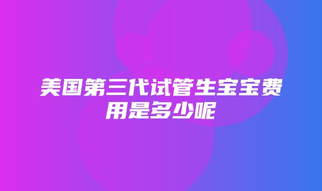 美国第三代试管生宝宝费用是多少呢