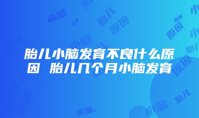 胎儿小脑发育不良什么原因 胎儿几个月小脑发育