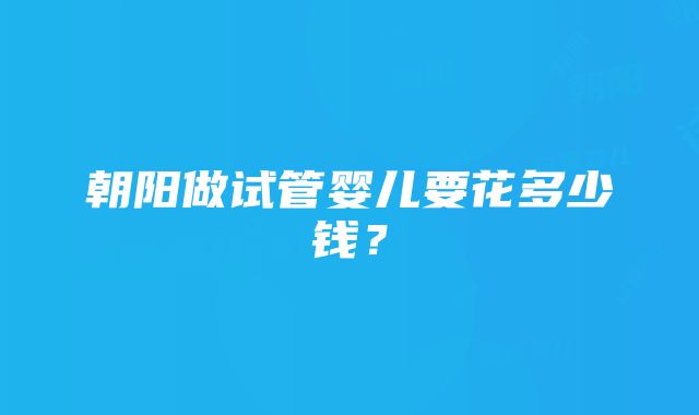 朝阳做试管婴儿要花多少钱？