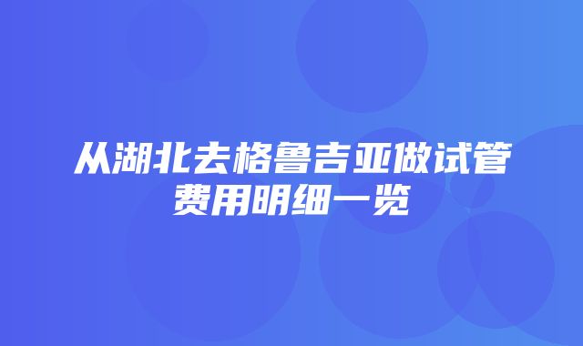 从湖北去格鲁吉亚做试管费用明细一览