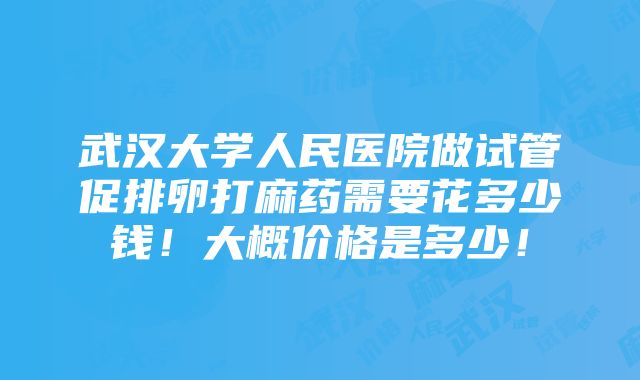 武汉大学人民医院做试管促排卵打麻药需要花多少钱！大概价格是多少！