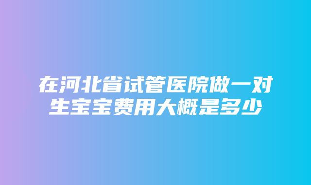 在河北省试管医院做一对生宝宝费用大概是多少