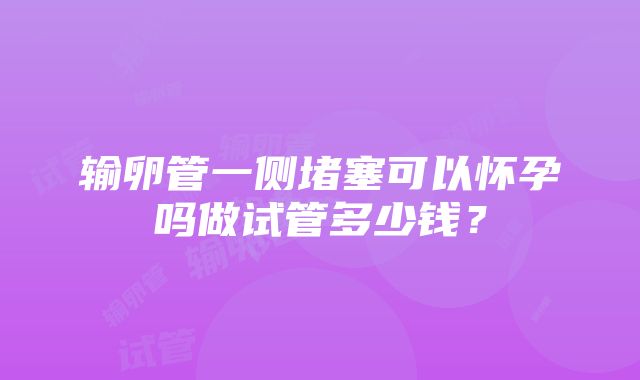 输卵管一侧堵塞可以怀孕吗做试管多少钱？