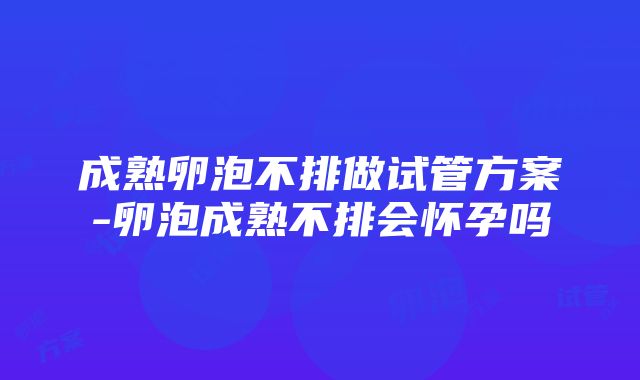 成熟卵泡不排做试管方案-卵泡成熟不排会怀孕吗