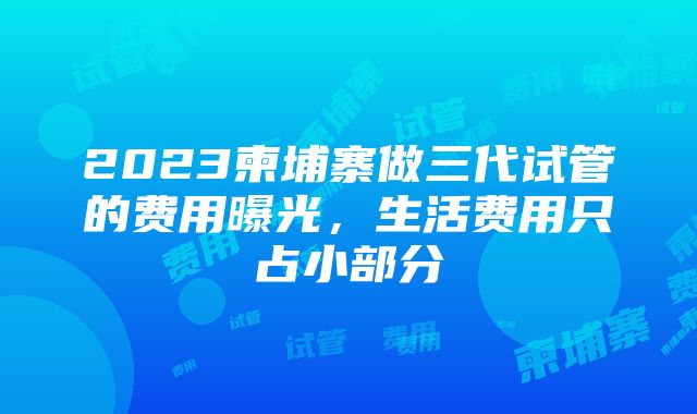 2023柬埔寨做三代试管的费用曝光，生活费用只占小部分