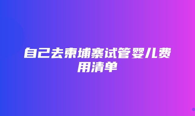 自己去柬埔寨试管婴儿费用清单