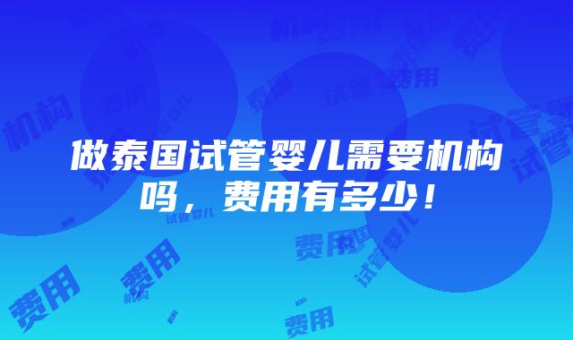 做泰国试管婴儿需要机构吗，费用有多少！