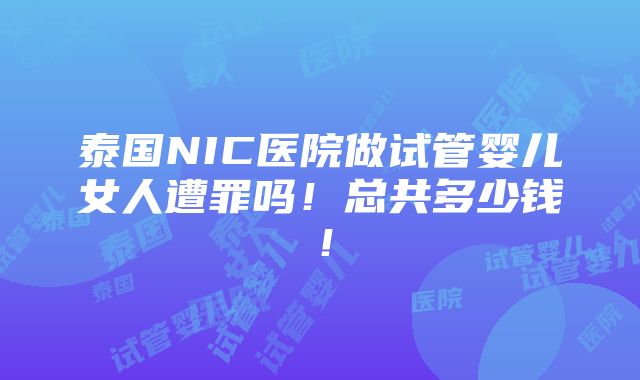 泰国NIC医院做试管婴儿女人遭罪吗！总共多少钱！