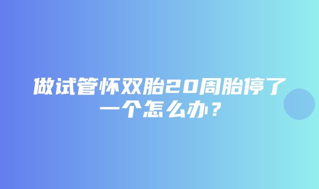 做试管怀双胎20周胎停了一个怎么办？