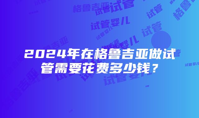 2024年在格鲁吉亚做试管需要花费多少钱？