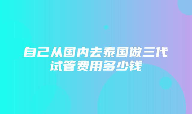 自己从国内去泰国做三代试管费用多少钱