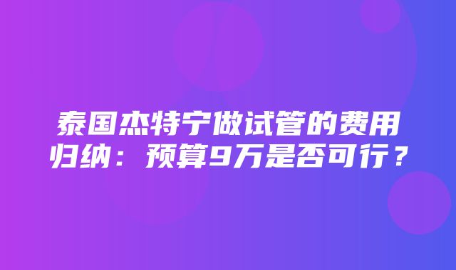 泰国杰特宁做试管的费用归纳：预算9万是否可行？