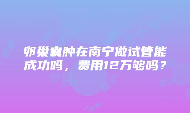 卵巢囊肿在南宁做试管能成功吗，费用12万够吗？