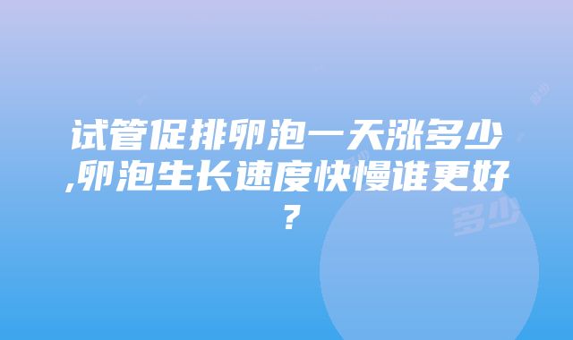 试管促排卵泡一天涨多少,卵泡生长速度快慢谁更好？