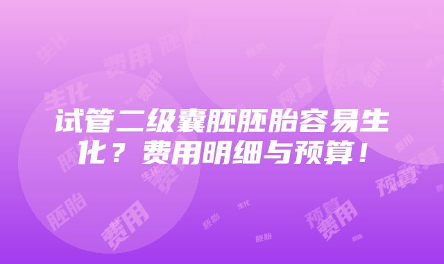 试管二级囊胚胚胎容易生化？费用明细与预算！