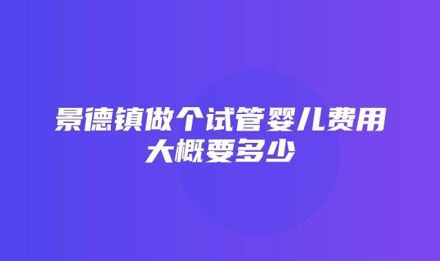 景德镇做个试管婴儿费用大概要多少