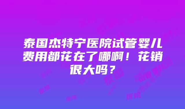 泰国杰特宁医院试管婴儿费用都花在了哪啊！花销很大吗？