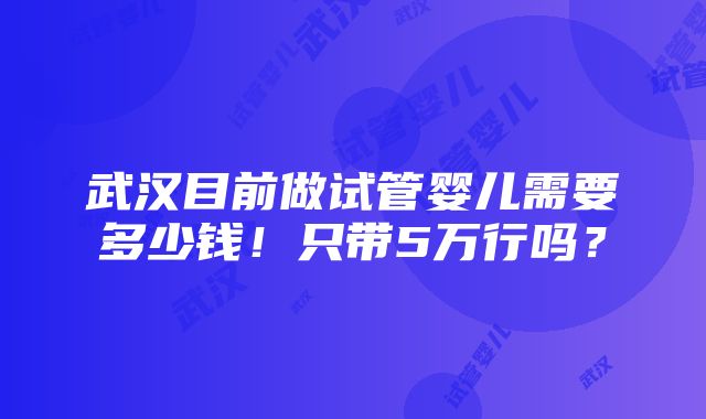 武汉目前做试管婴儿需要多少钱！只带5万行吗？