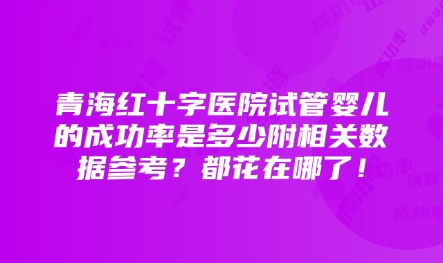 青海红十字医院试管婴儿的成功率是多少附相关数据参考？都花在哪了！