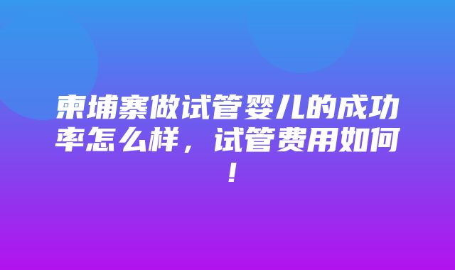 柬埔寨做试管婴儿的成功率怎么样，试管费用如何！