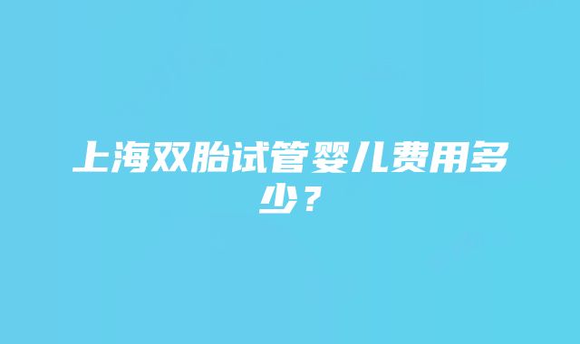 上海双胎试管婴儿费用多少？