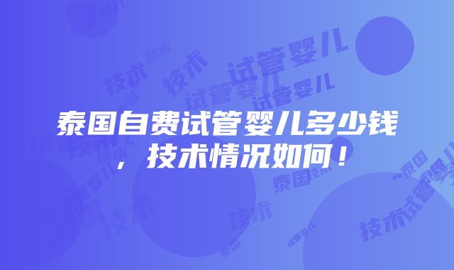 泰国自费试管婴儿多少钱，技术情况如何！