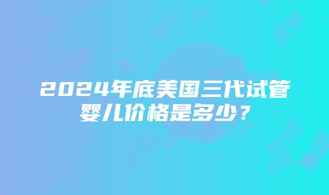 2024年底美国三代试管婴儿价格是多少？