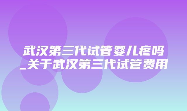 武汉第三代试管婴儿疼吗_关于武汉第三代试管费用