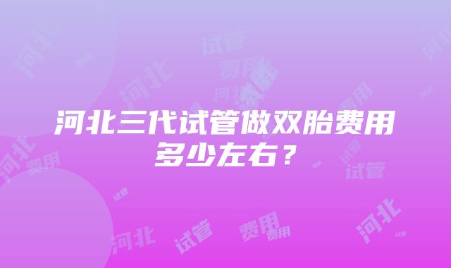 河北三代试管做双胎费用多少左右？