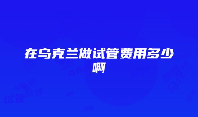 在乌克兰做试管费用多少啊