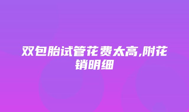 双包胎试管花费太高,附花销明细