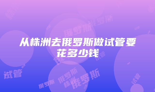 从株洲去俄罗斯做试管要花多少钱