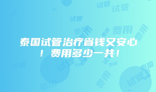 泰国试管治疗省钱又安心！费用多少一共！