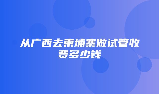 从广西去柬埔寨做试管收费多少钱